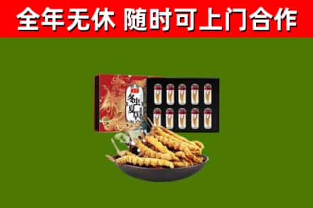 南康区回收冬虫夏草价格